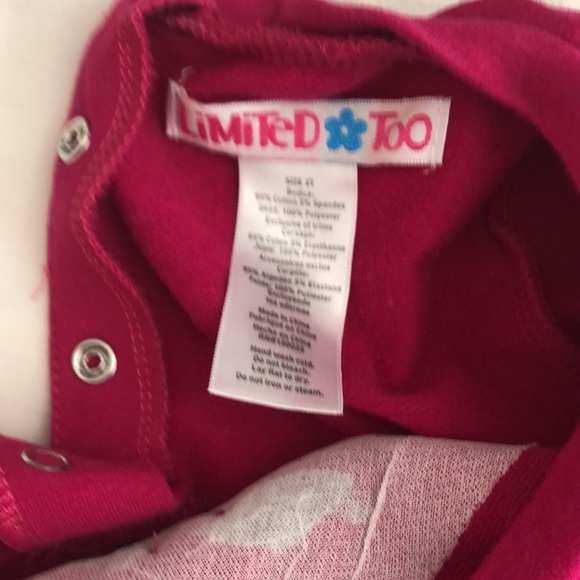 Limited Too dress with lined tulle skirt size 2T - Picture 3 of 8